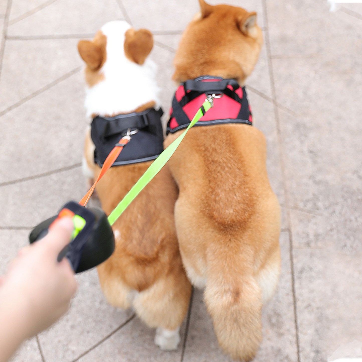 Retractable Dual Dog Leash (No-Tangle)