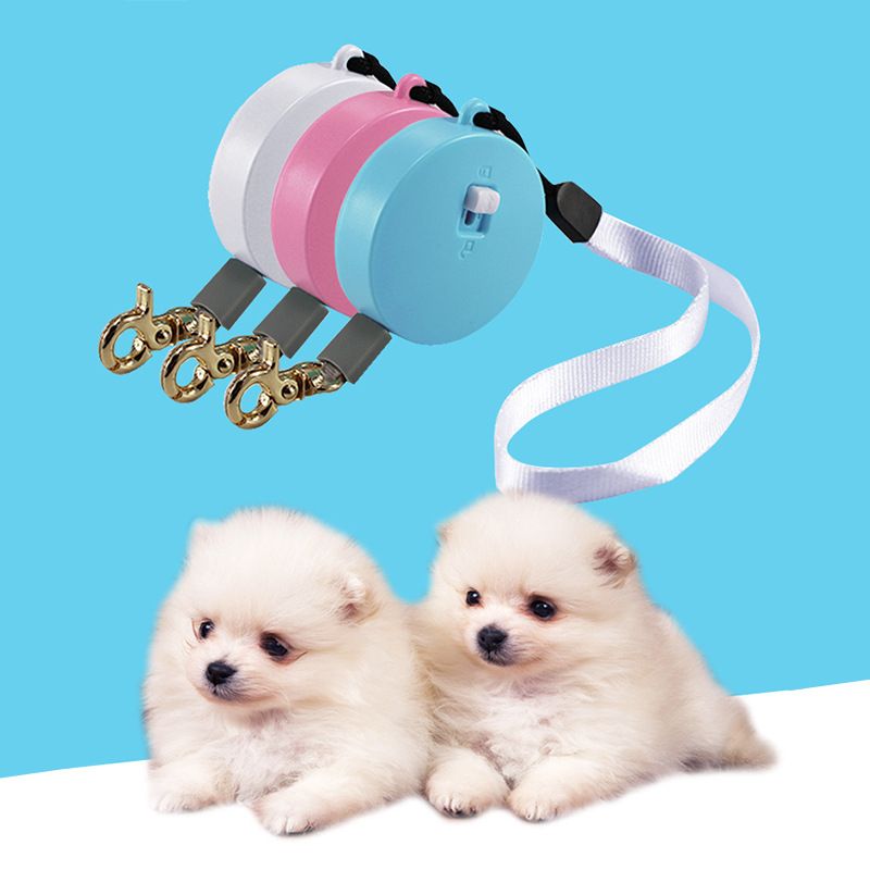 Retractable Leash for Small Pets