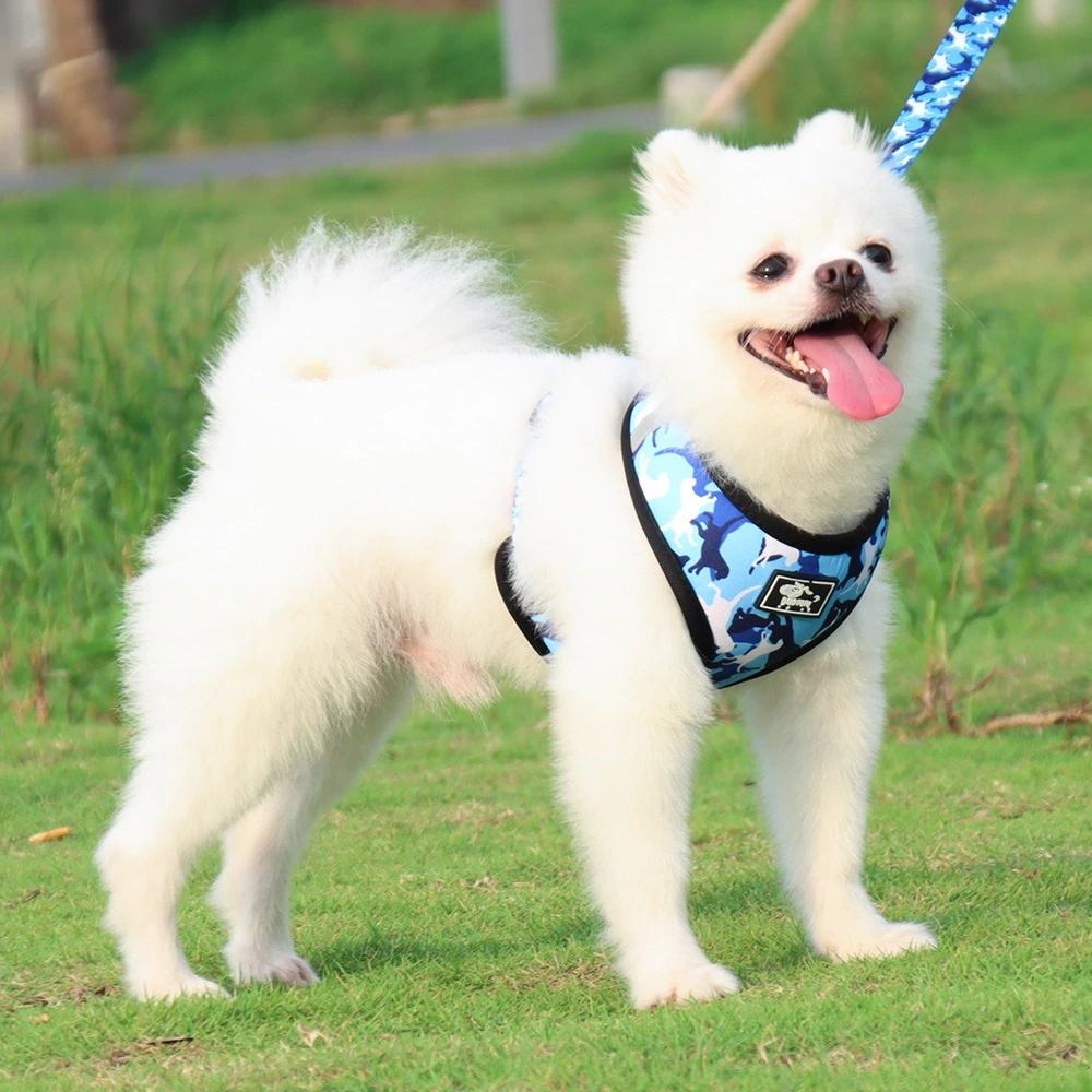 Camouflage Dog Harness & Leash Set