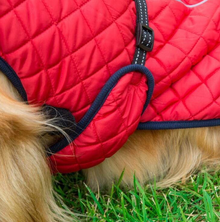 Winter Reflective Dog Jacket