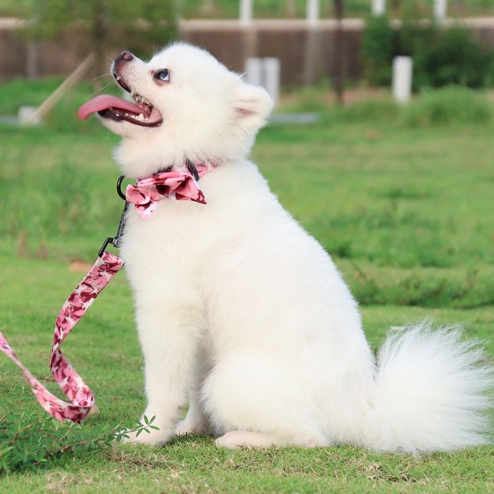 Camouflage Dog Harness & Leash Set