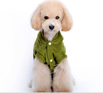 Dinosaur Costume for Dogs (Halloween Outfit)