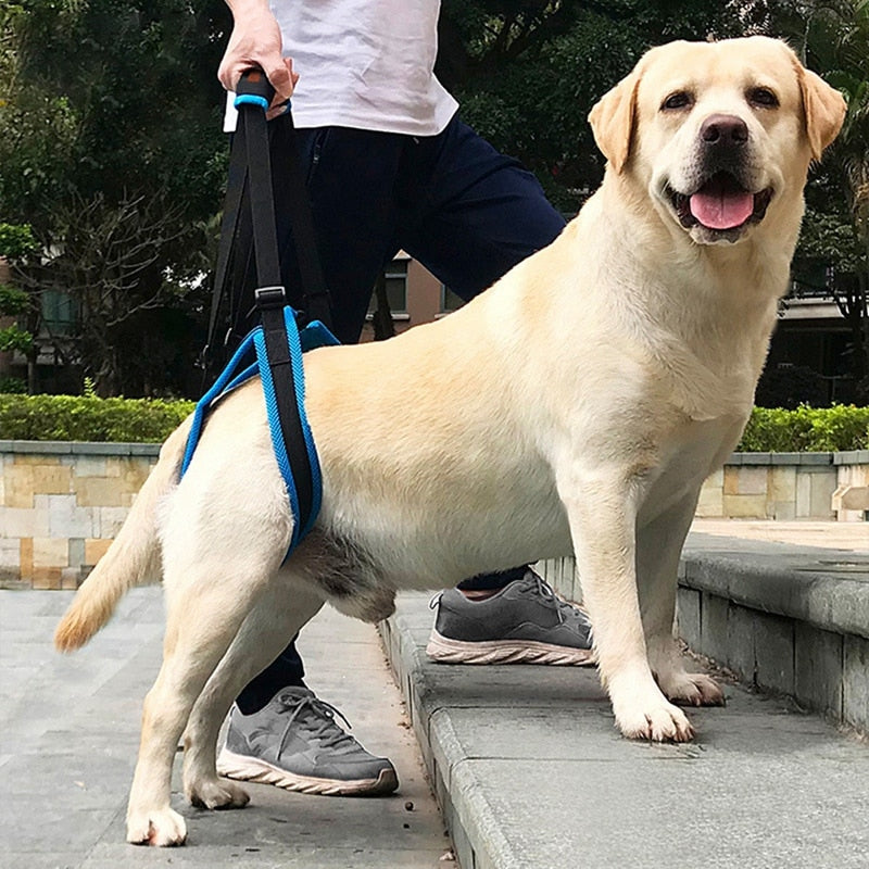 可调节狗狗后腿提升背带
