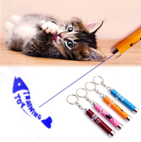 宠物猫玩具 LED 激光指示器灯笔