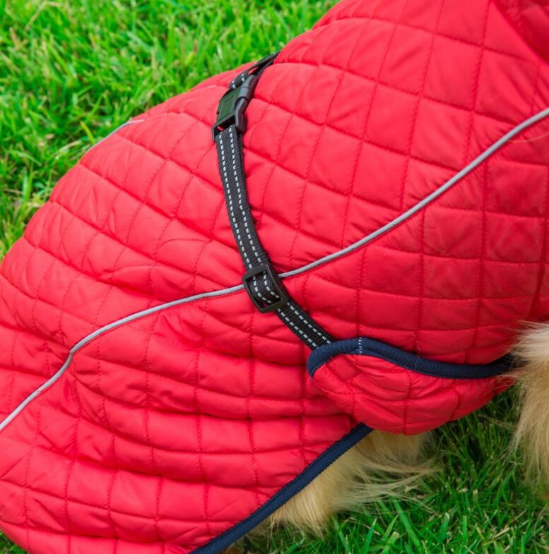 Winter Reflective Dog Jacket