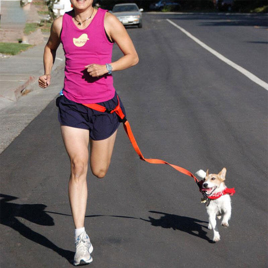 Hands-Free Dog Leash for Running & Jogging