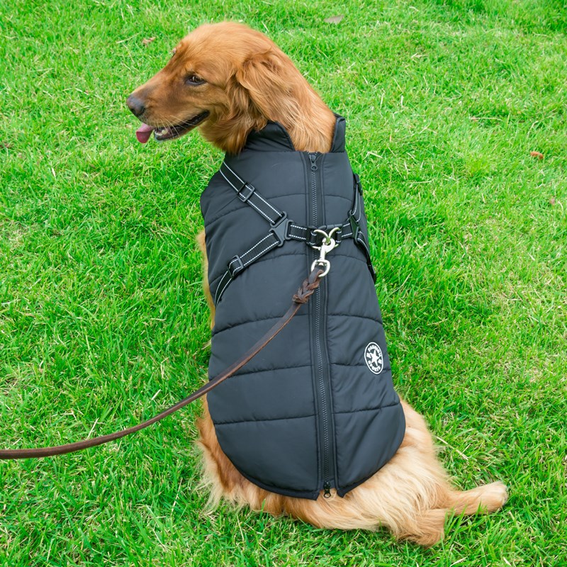 Reflective Warm Dog Suit for Autumn & Winter