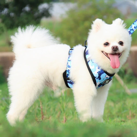 Camouflage Dog Harness & Leash Set