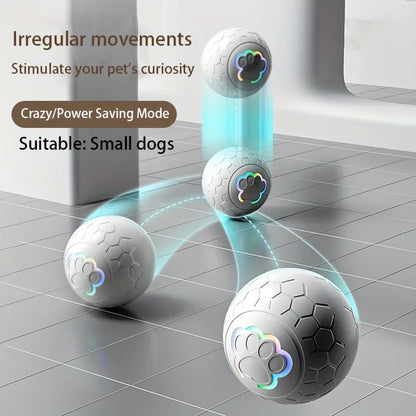 Smart Bouncing Ball 4.0 for Pets