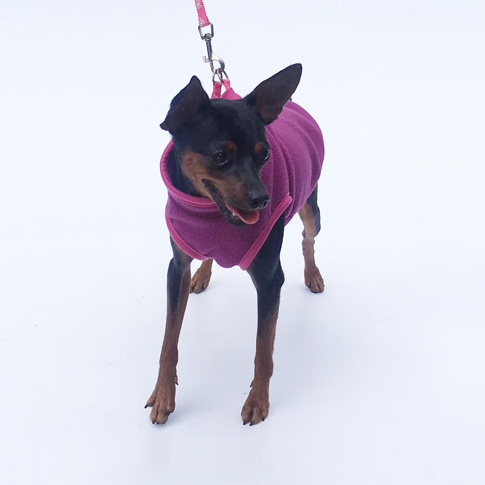 Winter Fleece Dog Jacket