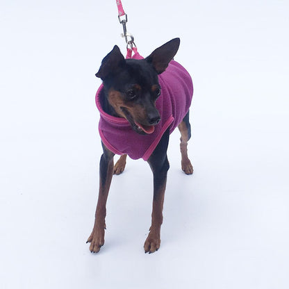Winter Fleece Dog Jacket