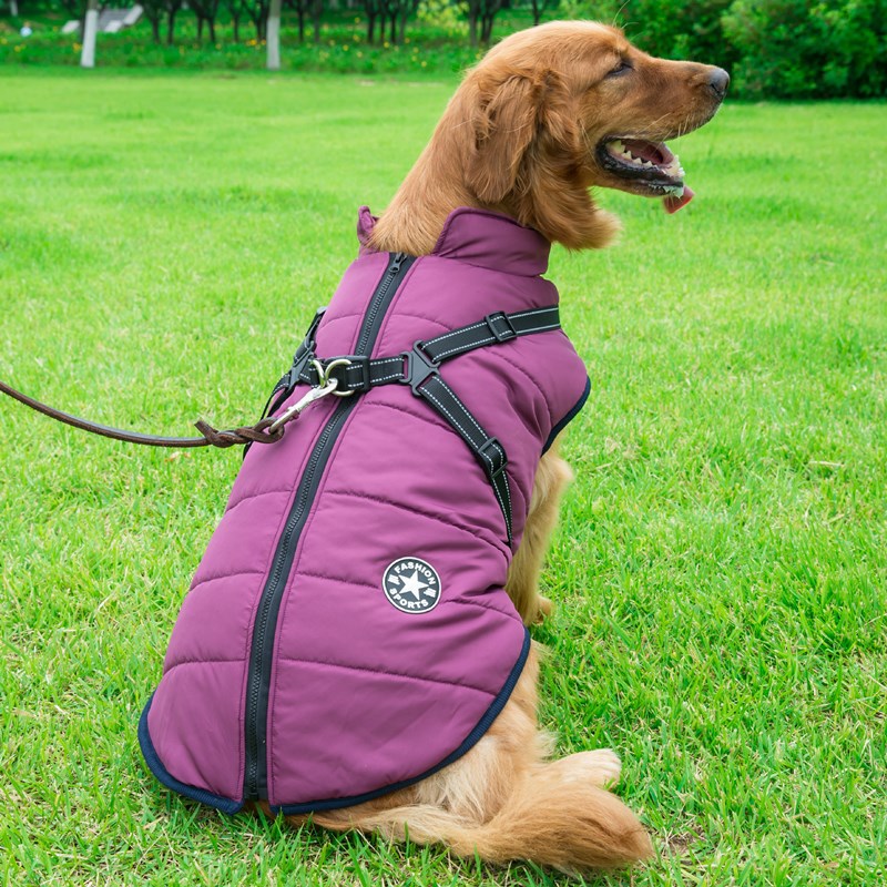 Reflective Warm Dog Suit for Autumn & Winter